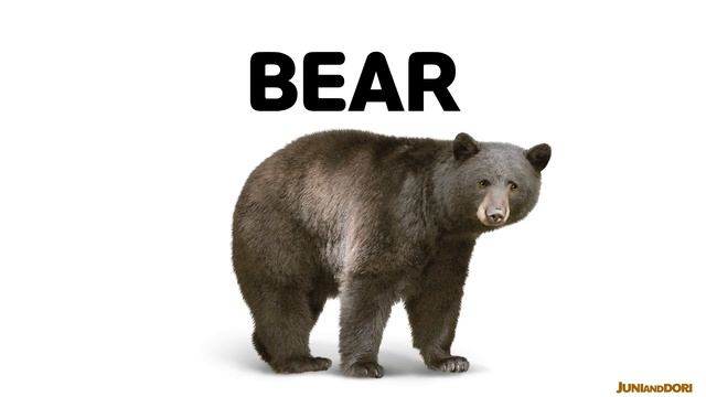 야생의 동물 - 사자 기린 코끼리 원숭이 모두들 안녕! смотреть онлайн