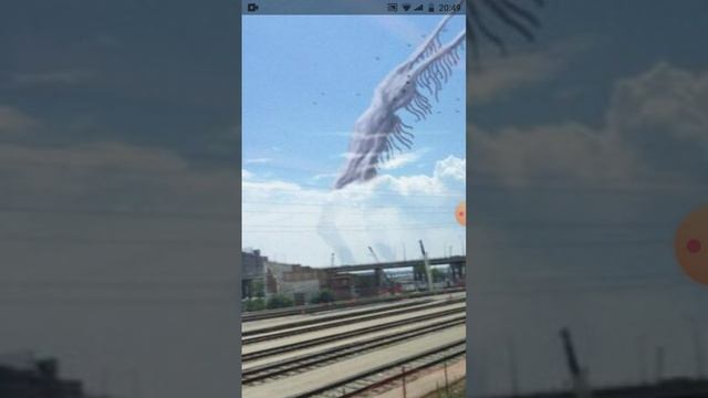 страшная история об наблюдатель птиц👻👻👻 смотреть онлайн