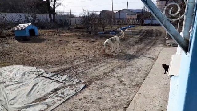 Сельские будни.Уборка мусора.