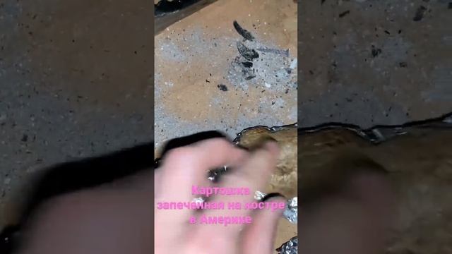 Запеченная картошка на костре смотреть онлайн