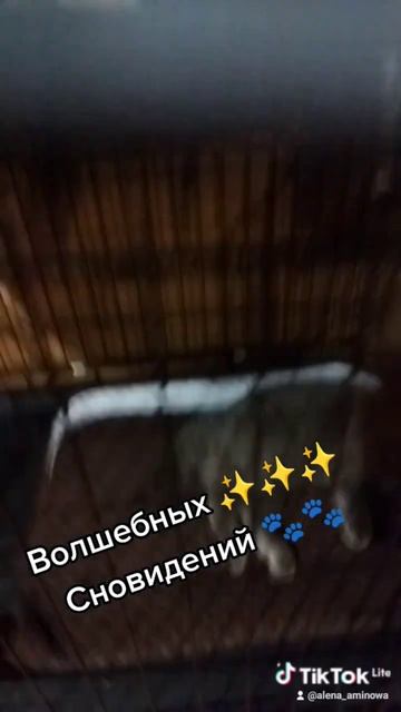 #Доброй#ночи# смотреть онлайн