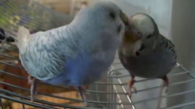 IMGP0004 Крош и Лилуша смотреть онлайн