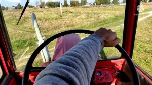 Перевозимо дрова трактором т 25 на сусідній участок)