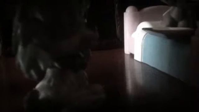 LPS история в стихах смотреть онлайн