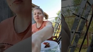 Мукбанг. Шашлык