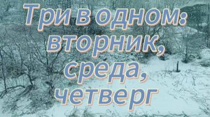 Три в одном: вторник, среда, четверг
