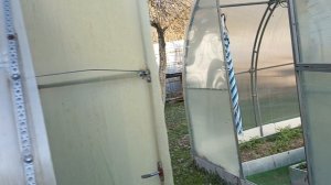 20 апреля. Утренний дачный обход.