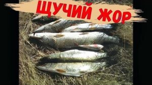 ✔СУПЕР РЫБАЛКА НА СПИННИНГ ВЕСНОЙ! Я такого жора шуки не ожидал увидеть