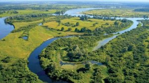 "Леса Белоруссии", Арик Крупп