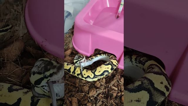 4 декабря 2021 г. смотреть онлайн