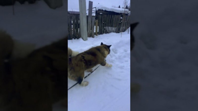 Грейс тоже подписалась на наш телеграмм! А вы с нами?