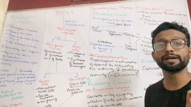 Human Reproduction, Part-1, 12th Biology.
