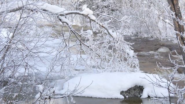Кольский п-ов. Ручей Вензин, 31 октября 2019 г. смотреть онлайн