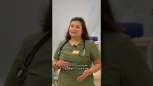 Отделение анестезиологии в ветеринарном госпитале Прайд