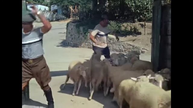 Цоп цобэ.