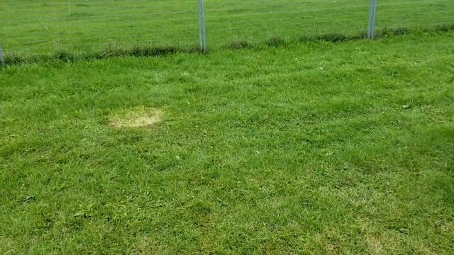 2019 demolition derby (dirty 30 derby) AMBULANCE CALLED!! смотреть онлайн