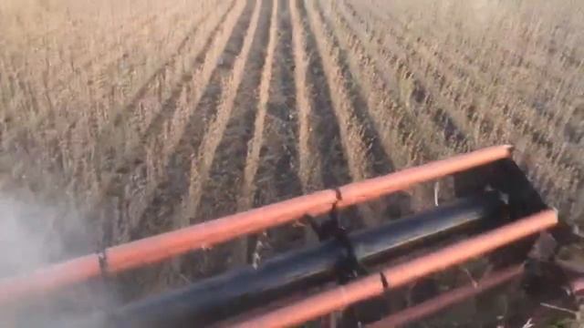 Уборка сои на полесье GS12 смотреть онлайн
