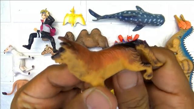 Atrociraptor Jurassic World Dominion Whale Shark Transformer 5 Optimus Prime Babybus Goat смотреть онлайн