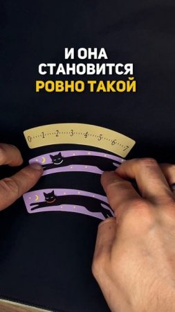 Почему кошка стала длиннее? #shorts