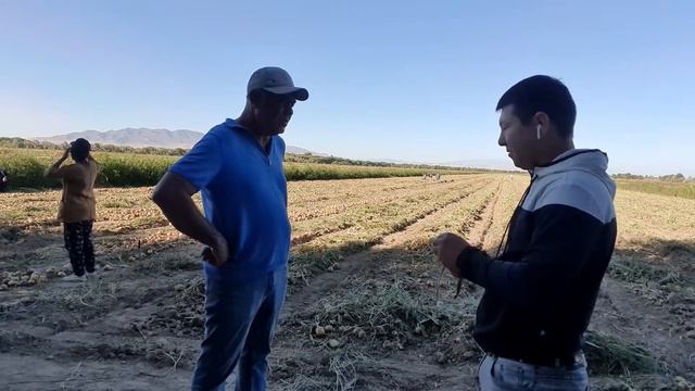 Уборка урожая лука 🧅. смотреть онлайн