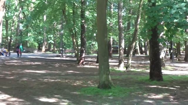 Сквер в Светлогорске смотреть онлайн