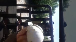 Переправа через реку Саракокшу на трелёвочнике для проведения таксации. Горный Алтай.