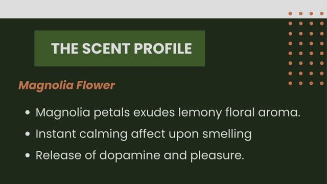 Magnolia Tea Health Benefits | Plant Medicinal Usage смотреть онлайн