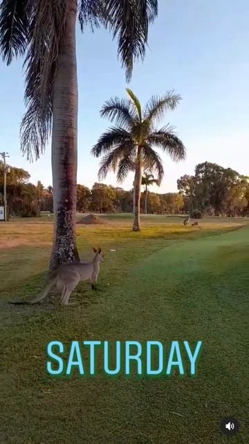 Good Morning! смотреть онлайн