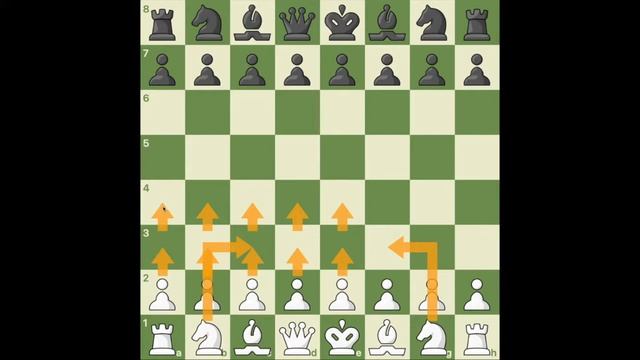 Ultimate Chess Guide Part 1: The Rules