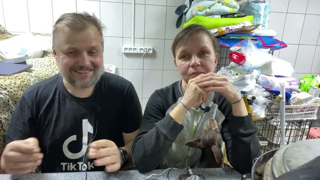 Стрим в приюте Хвостатое Счастье от 26/02/2022