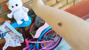 Прогулка с Басиками( попытка номер 1) или смотри на кого отвлеклась Мила