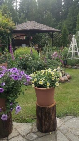 Затишье перед грозой #гроза #сад #garden #flowers