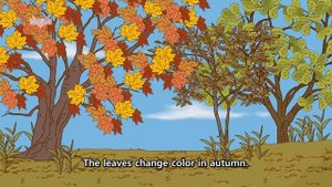 Four seasons of the year