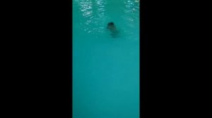 БАССЕЙН, АТЛАС ПАРК-ОТЕЛЬ