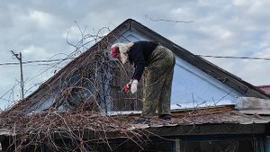 Садовый участок. Часть 23