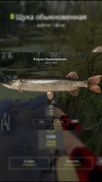 Щука на старом остроге РР4 смотреть онлайн