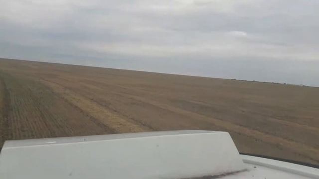 Уборка 2019. Выезжаем на ишимское поле смотреть онлайн