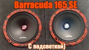 Обзор Barracuda 165 SE | Подсветка