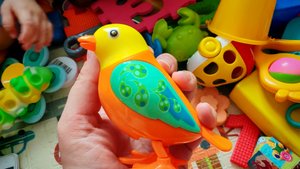 играем в детскую игрушку заводную птицу для малышей