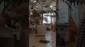 стрегëм Валеру