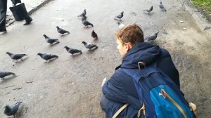 Эксперимент на голубиной ферме