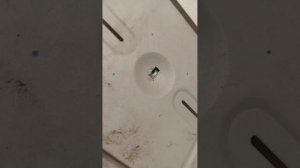 Копеешный  держатель на стену для телевизора с несколькими степенями изгиба/свободы