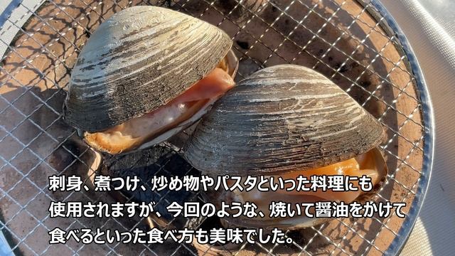 【しちりん・七輪】#74 ホッキ貝 北海道 (Spisula Hokkaido)【字幕】 смотреть онлайн