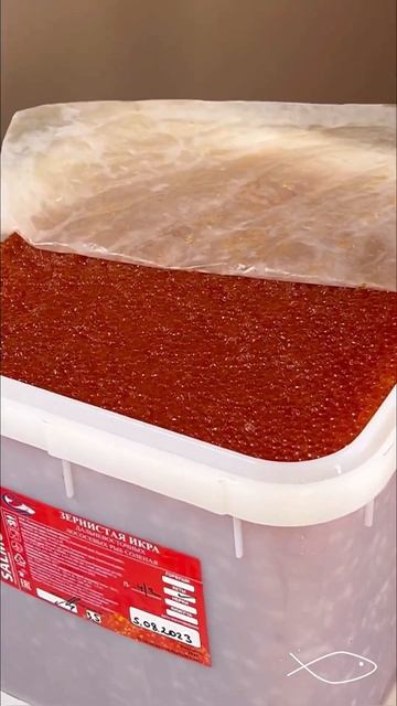 Икра Кеты ООО «Тымлатский рыбокомбинат» #kamchatka #вкусно #камчатка #вкусноиполезно #икра смотреть онлайн