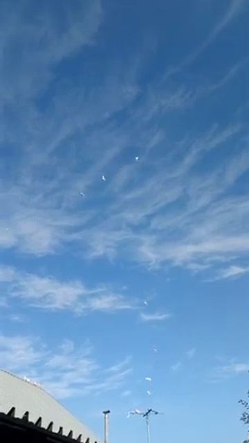 Голуби Алматы Видео 16 смотреть онлайн