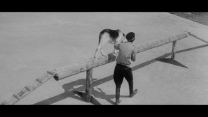 «Ко мне, Мухтар», реж. Семен Туманов, 1964 г.