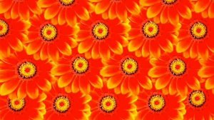 С днём женской дружбы! 💕 Красивое поздравление 🥰