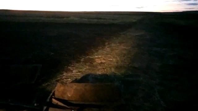 Каткую пшеницю трактором Т-25.