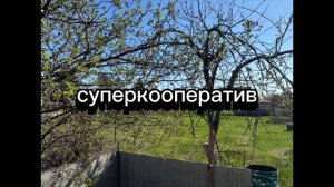 WhatsApp Video 2025-04-19 at 17.17.48