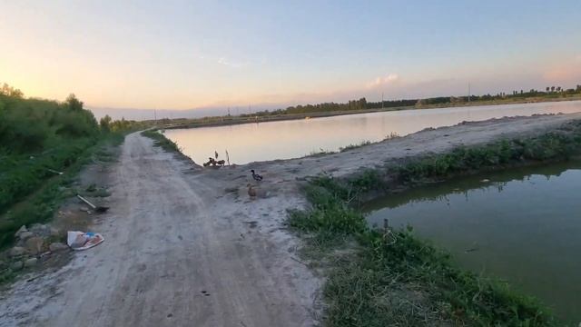 БАЛИКЛАРНИ ГРАНУЛА БИЛАН БОКИШ АФЗАЛЛИКЛАРИ...